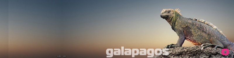Galapagos reisverslag Galapagos reisverslag